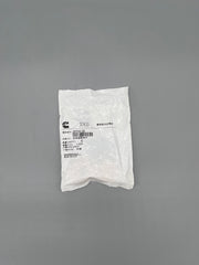 Cummins Dichtung 207244 20 (VE 6 Stück)