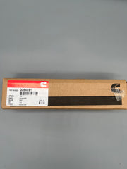 Cummins Injektoren 3084891