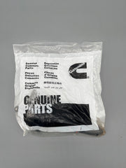 Cummins Injektoren 3084891